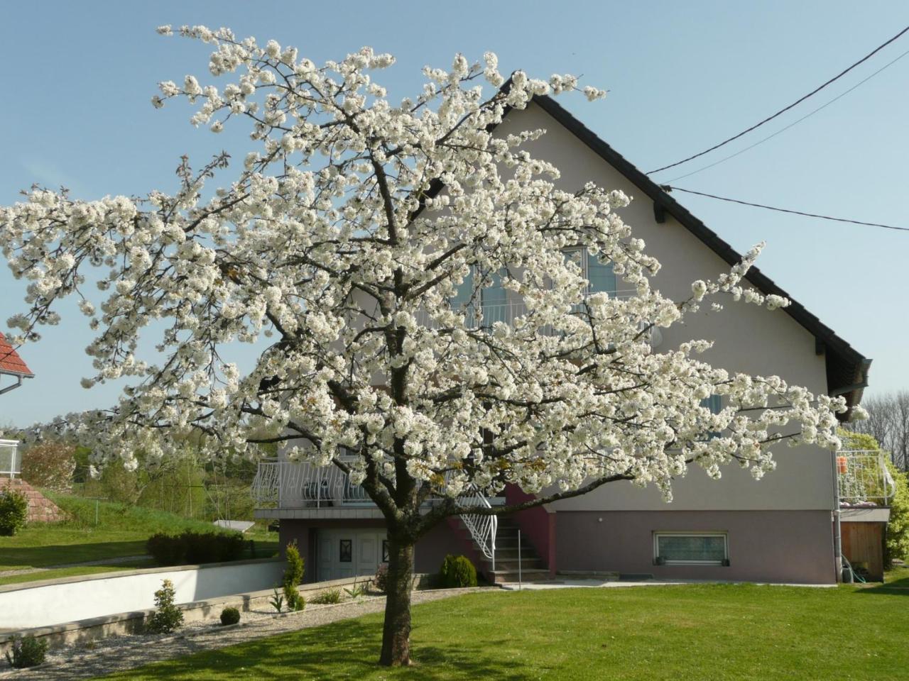Chez Anny Et Jean Au Mittelbuehl-Reichshoffen Bed & Breakfast Luaran gambar